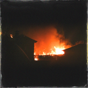 ▓草莓视频app成人▓
