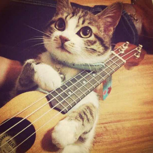 ▓草莓视频app成人▓
